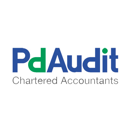 PDAUDIT